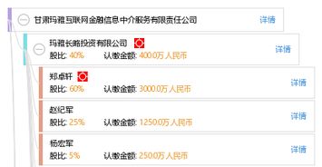 甘肅瑪雅互聯(lián)網(wǎng)金融信息中介服務(wù) 數(shù)字化時(shí)代下的信息橋梁
